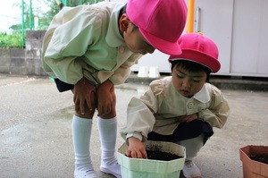 BL-20150421-01 (10).jpg